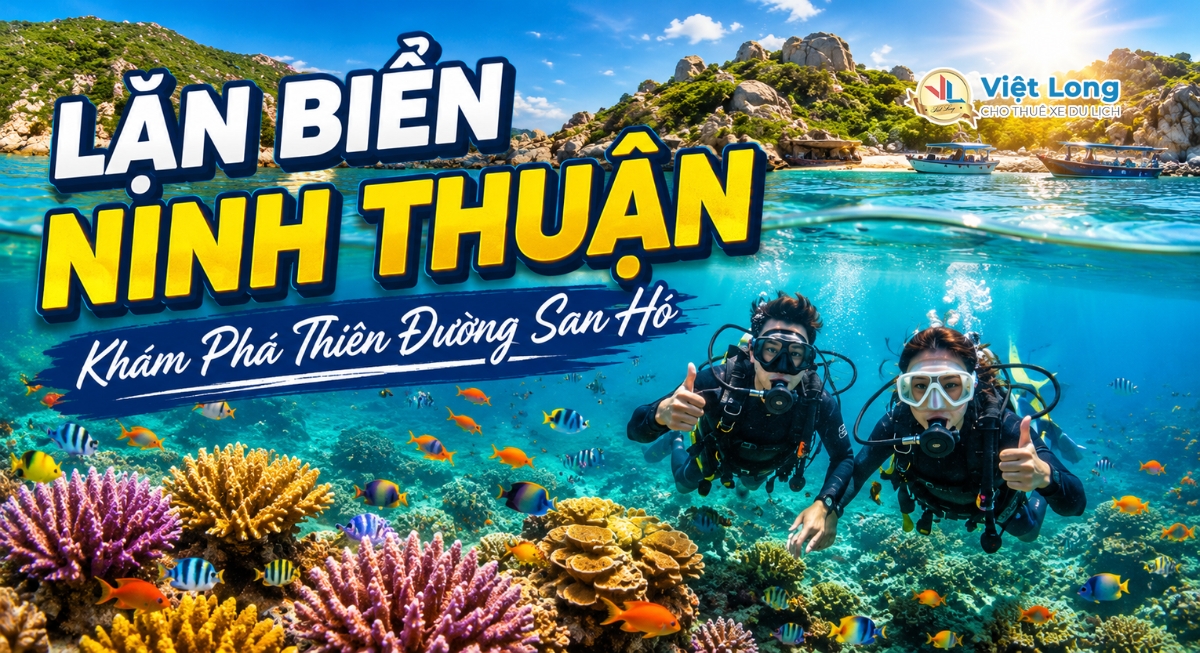 Lặn Biển Ninh Thuận: Trải Nghiệm Khám Phá Thế Giới San Hô Đẹp Bậc Nhất Việt Nam