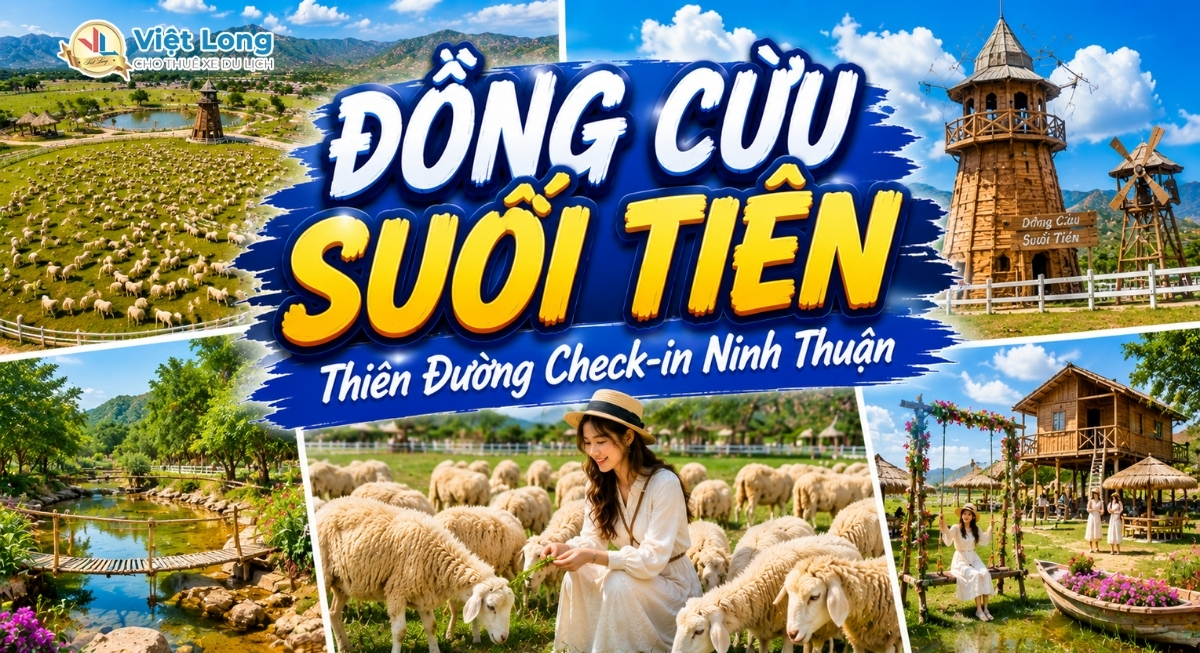 Đồng Cừu Suối Tiên: Tọa Độ Check-in Thơ Mộng Như Tranh Vẽ