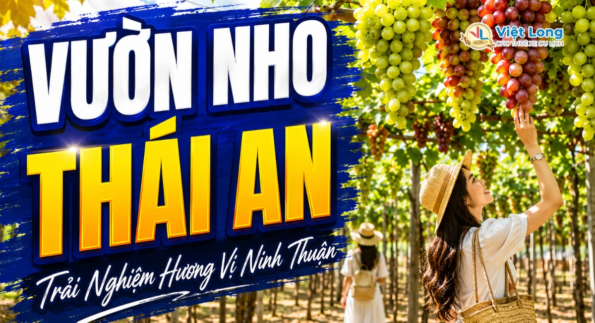 Vườn Nho Thái An – Trải Nghiệm Không Gian Vườn Nho Đặc Trưng